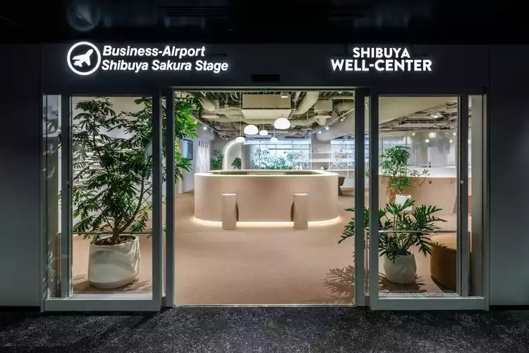 Usako／参考ページ All Item | エブリデイ Z/X Life!